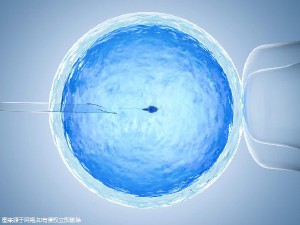 爱心同性供卵咨询怎么收费